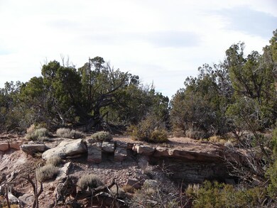 John Fox Property 009