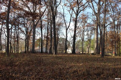 000 Birdie Dr, Mount Vernon, IL 62864 - photo 7