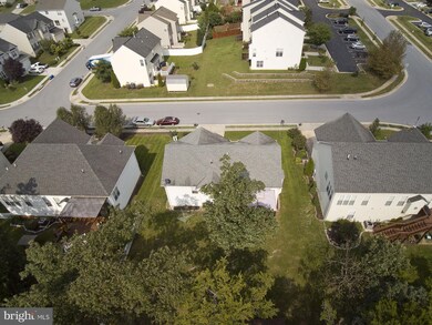 842 Island Farm Rd, Strasburg, VA 22657 - photo 6