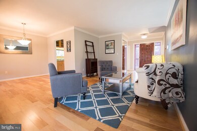 5316 Thunder Hill Rd, Columbia, MD 21045 - photo 2