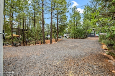 3750MuleSkinnerLoop-ShowLow-AZ-2