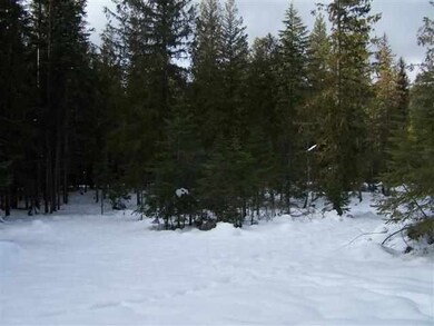 182 Shady Ln, Cusick, WA 99119 - photo 5