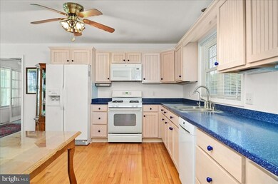 2855 Crocheron Rd, Toddville, MD 21672 - photo 7