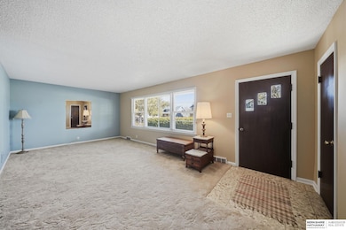 828 S 3rd St, Albion, NE 68620 - photo 7