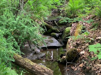 95 Jenne Rd, Hartland, VT 05048 - photo 6