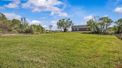 11211 Creek View Ln, Eckert, CO 81418 - photo 7