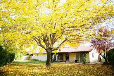 Back of house/ back yard