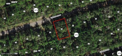 800 E Byrd Loop, Citrus Springs, FL 34434 - photo 2