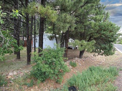 420 S 10th Ave, Show Low, AZ 85901 - photo 5