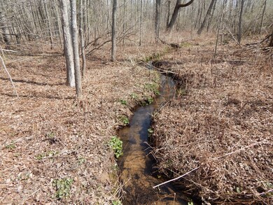 0 E Hayes Rd, Ashley, MI 48806 - photo 2