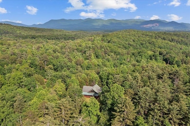 3691 Flagpole Rd, Ellijay, GA 30540 - photo 4