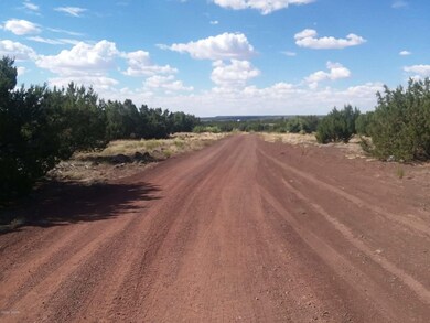 LOT G Powells Ln, Show Low, AZ 85901 - photo 6
