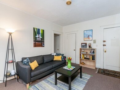 Sutherland Village unit 3, Brighton, MA 02135 - photo 4