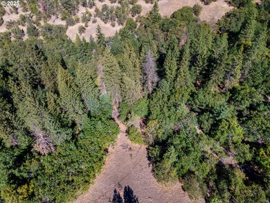 0 Colestin Rd unit 104385842, Ashland, OR 97520 - photo 3