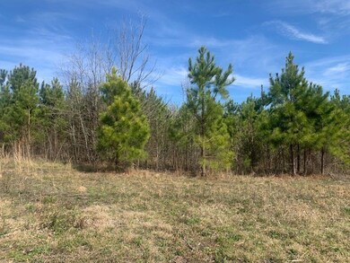 1 Hwy 225n, Chatsworth, GA 30705 - photo 2