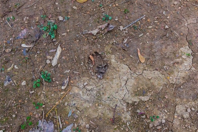 1186 Tulip Rd, Lynx, OH 45650 - photo 6