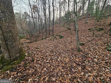 0 Garnet Dr unit 10648281, Ellijay, GA 30540 - photo 6