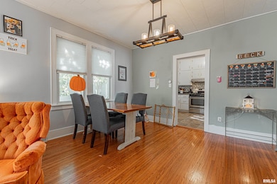 110 S Garden St, Mount Pulaski, IL 62548 - photo 5