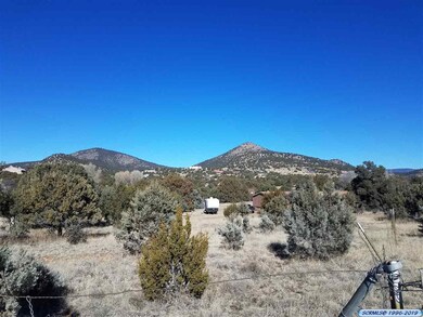 5103 Little Walnut Rd, Silver City, NM 88061 - photo 5