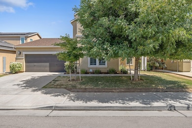 2-web-or-mls-713A3986