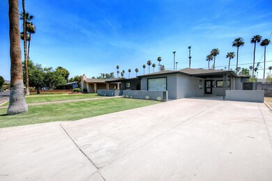 Front yard and drive