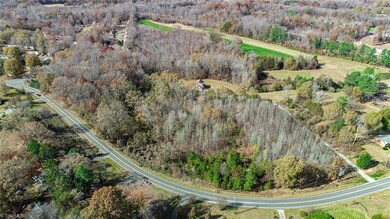 Street View - Wooded Land - Left of Driveway