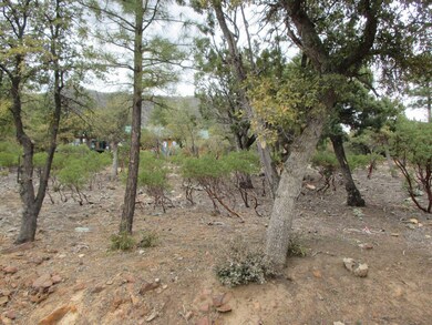 6530 W Ruin Hill Loop unit 150, Pine, AZ 85544 - photo 3