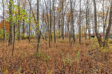 0 Cranage Rd, Olmsted Falls, OH 44138 - photo 2