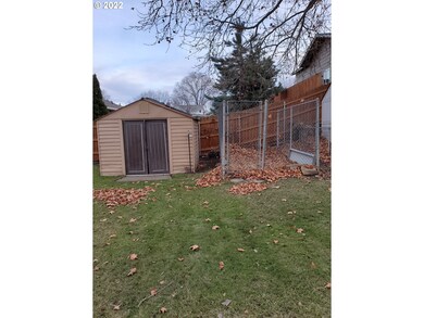 Dog Run