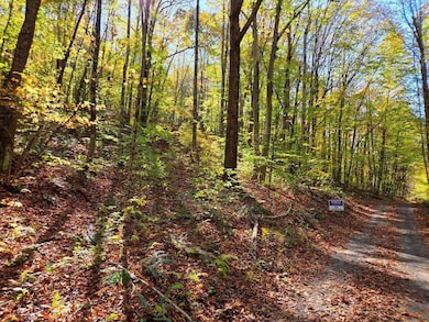 0 Backus Mountain Rd, Meadow Bridge, WV 25976 - photo 4