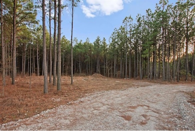 594 Timbuktu Trail, Broken Bow, OK 74728 - photo 6