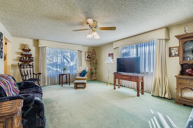 Living area with carpet, a ceiling fan, and a textured ceiling