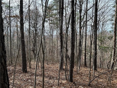 0 Georgia 105, Baldwin, GA 30511 - photo 3