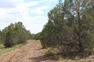 Tbd High Mountain Rd, Peach Springs, AZ 86434 - photo 3