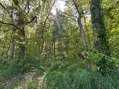 5.25 Acres