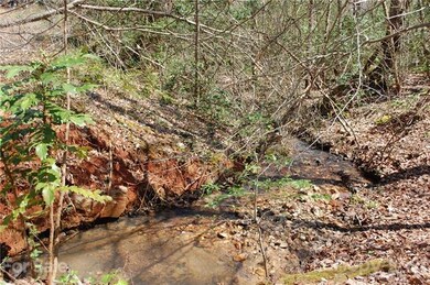 Stream on the lower portion of the lot
