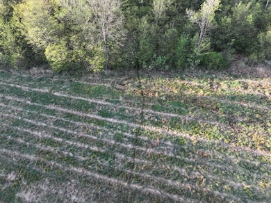 N2060 Meridian Rd, Prentice, WI 54556 - photo 7