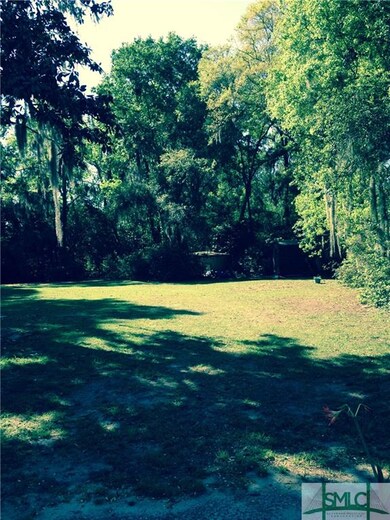 HUGE back yard looking from the house
