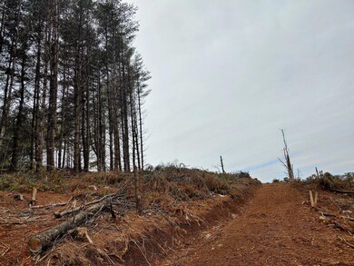 0217211216a_HDR