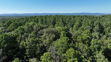 Unk Oklahoma 4, Watson, OK 74963 - photo 4