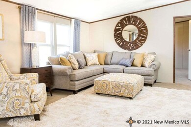 4205 Redbud St, Carlsbad, NM 88220 - photo 2