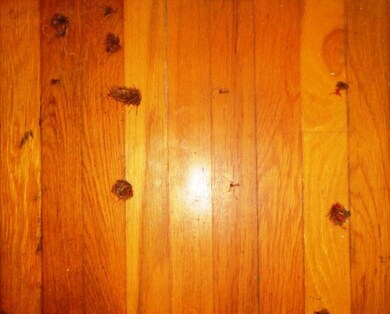 106 W Peach St, Fredericksburg, TX 78624 - photo 6