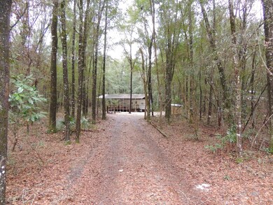 4374 290th Terrace, Branford, FL 32008 - photo 3