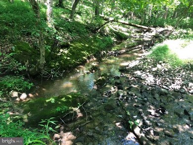 27 Walnut Bottom Hideaway, Moorefield, WV 26836 - photo 6