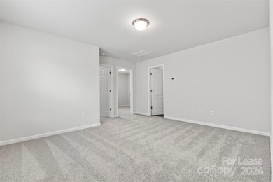 158 Briana Marie Way, Indian Trail, NC 28079 - photo 5