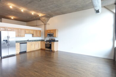 Shoemaker Lofts unit 219, Chicago, IL 60618 - photo 7