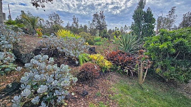 Lush, tropical landscaping with plenty local kine plants—succulents, ti, and more! Feels like your own private garden oasis in Hawai‘i, perfect for getting your aloha spirit and enjoying nature’s beauty.