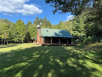 7755 Willow Brook Rd, Little Genesee, NY 14754 - photo 5