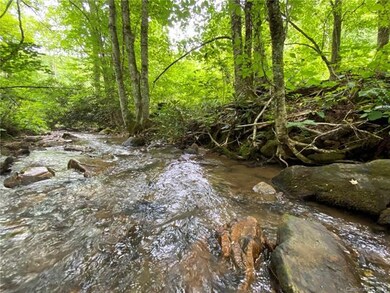0000 Fox Creek Rd, Mars Hill, NC 28754 - photo 4