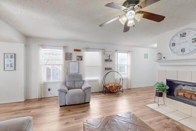 Living room with ceiling fan, light hardwood / woo